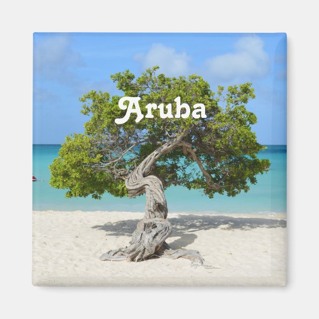 Imán Árbol Solo Divi Divi en Aruba (Frente)