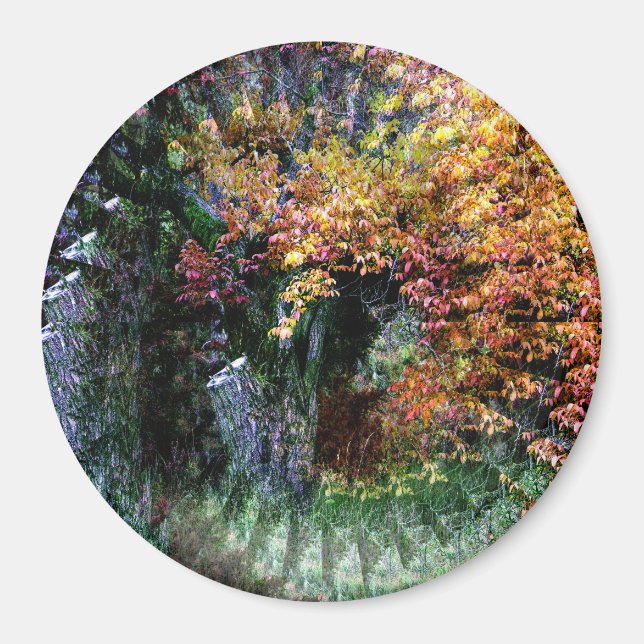 Imán Árbol viejo de roble......... (Frente)