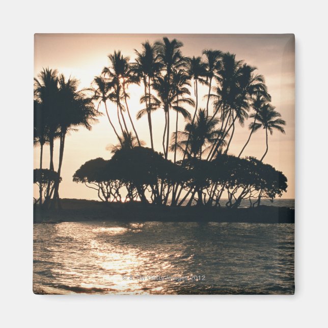 Imán Árbol y mar (Frente)