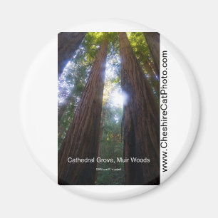 Imán Arboleda de la catedral, productos de California