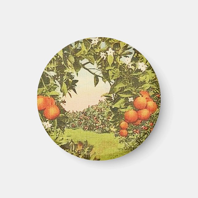 Imán Arboleda de Naranja Vintage (Frente)