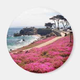 Imán Arboleda-Monterey pacífico Calif