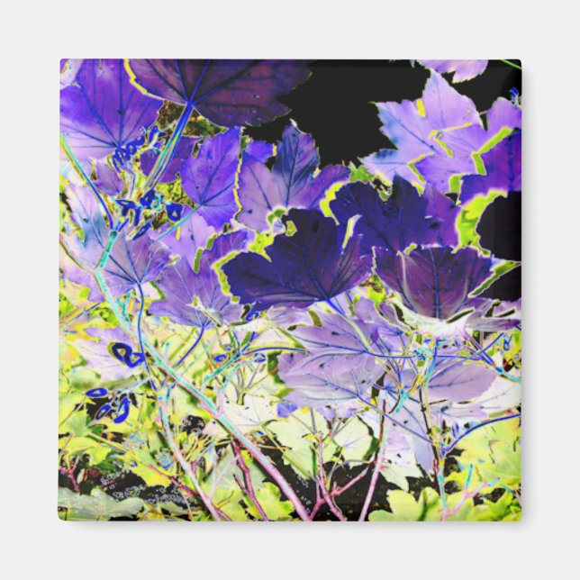 IMÁN ÁRBOLES (Frente)