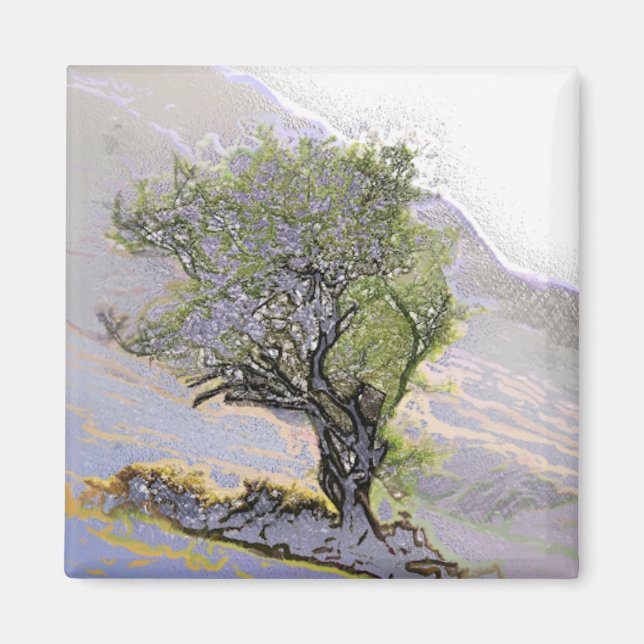 IMÁN ÁRBOLES (Frente)