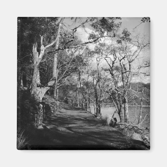 IMÁN ÁRBOLES (Frente)