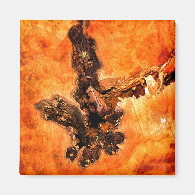 IMÁN ÁRBOLES (Frente)