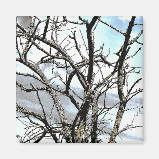 IMÁN ÁRBOLES (Frente)