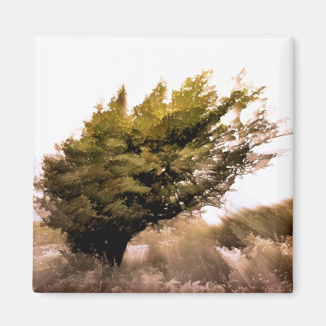 IMÁN ÁRBOLES (Frente)