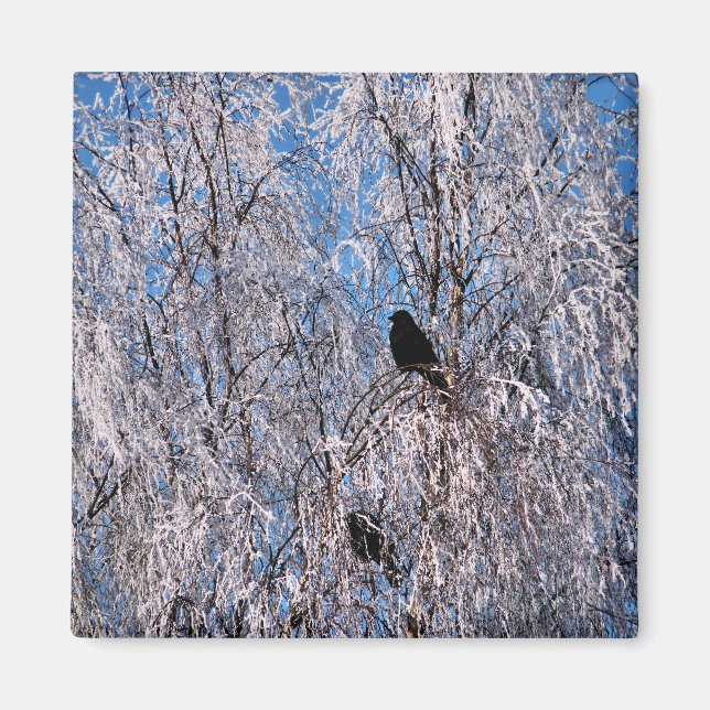 IMÁN ÁRBOLES (Frente)