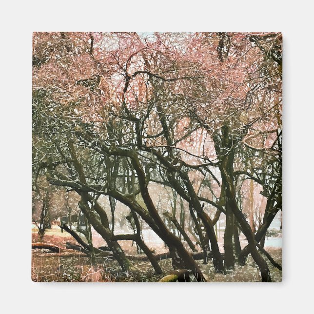 IMÁN ÁRBOLES (Frente)