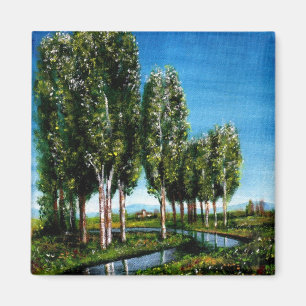 IMÁN ÁRBOLES BIRCH EN TOSCANA