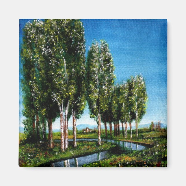 IMÁN ÁRBOLES BIRCH EN TOSCANA (Frente)