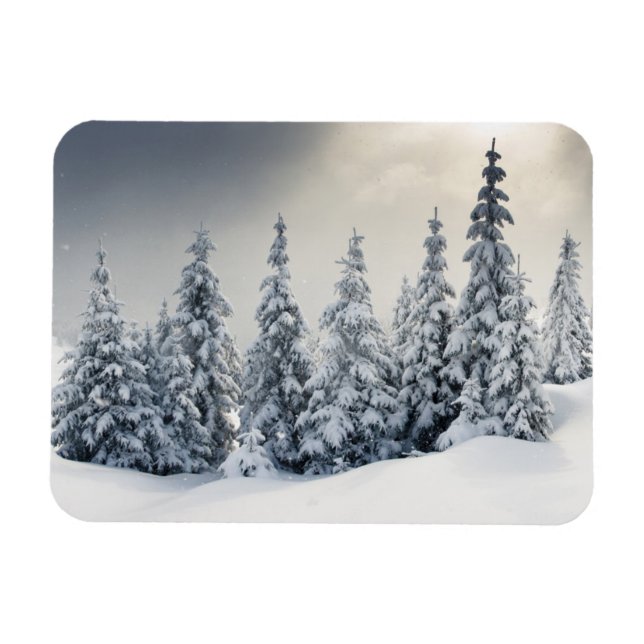 Imán Árboles Cubiertos De Hoarfrost Y Nieve (Horizontal)