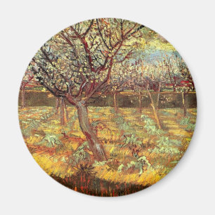 Imán Árboles de albaricoque en Florencia, Vincent van G