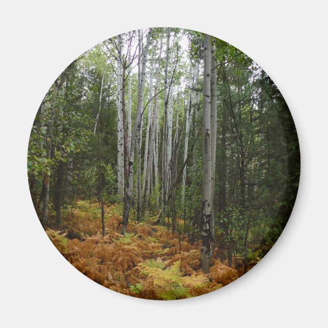 Imán Árboles de aves blancas y caídas en montaña rocosa (Frente)