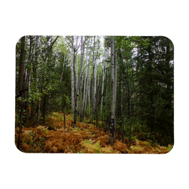 Imán Árboles de aves blancas y caídas en montaña rocosa (Horizontal)