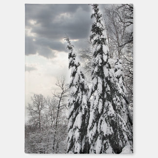 Imán Árboles de hoja perenne cubiertos de nieve bajo un