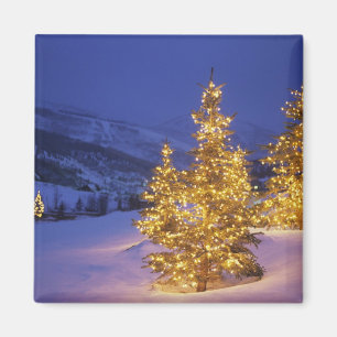 Imán Árboles de navidad, Park City, montañas de Wastc