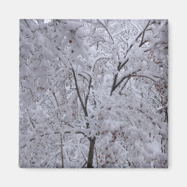 Imán Árboles de nevada