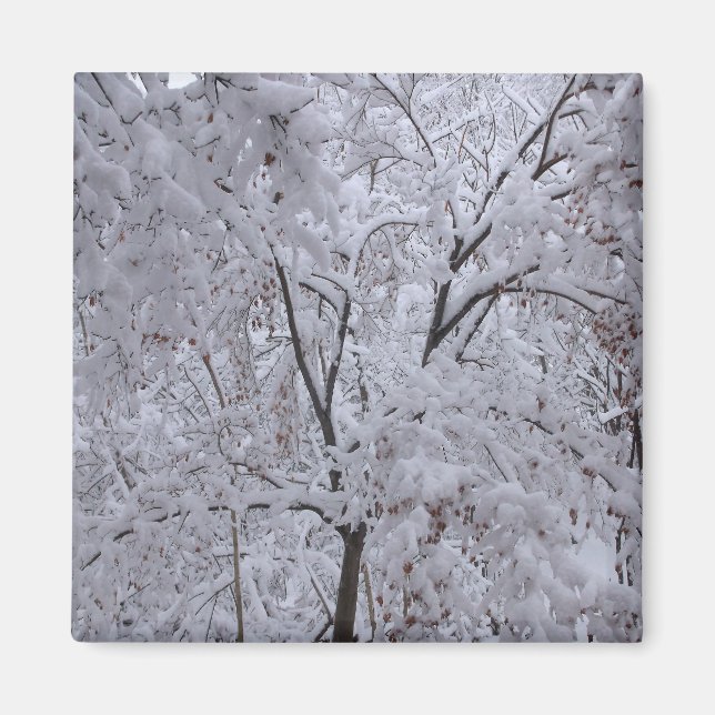 Imán Árboles de nevada (Frente)