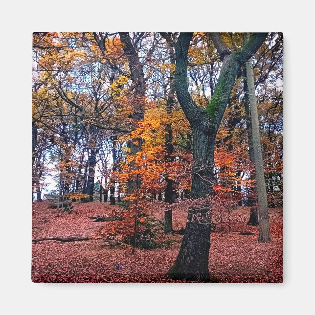 Imán Árboles de otoño (Frente)
