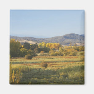 Imán Árboles de otoño, Khancoban, Montañas Nevadas, Nue