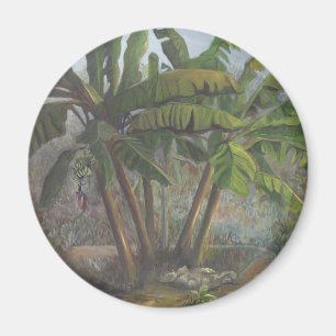 Imán Árboles de plátano