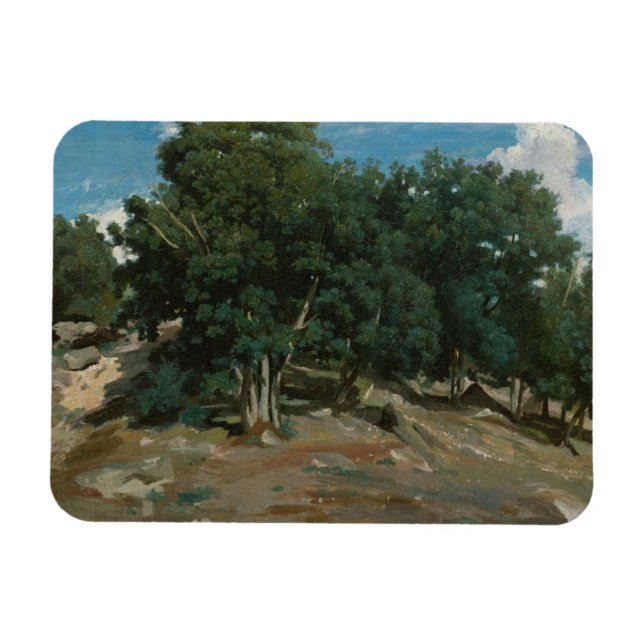 Imán Árboles de roble Fontainebleau (Horizontal)