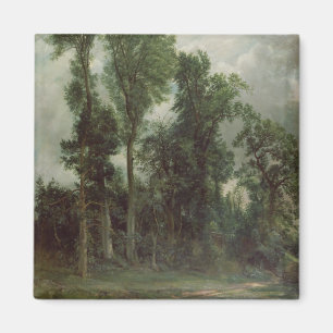 Imán Árboles en Hampstead