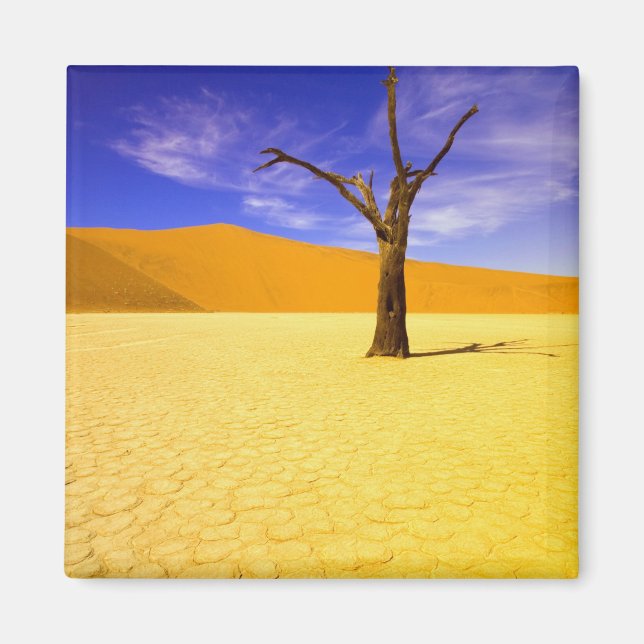 Imán Árboles esqueleto en Dead Vlei Sossusvlei, (Frente)