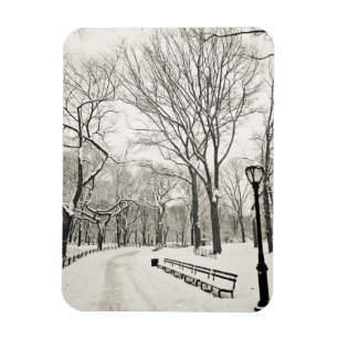 Imán Árboles invernales cubiertos de nieve