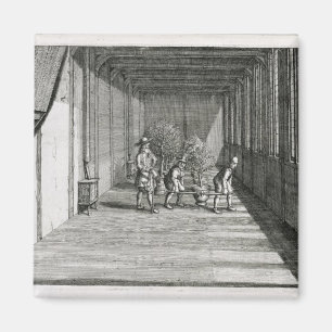 Imán Árboles móviles en el jardín para el verano, de