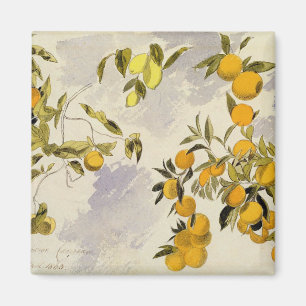 Imán Árboles naranjas, 1863 (p/c, pluma y tinta sobre g