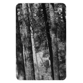 Imán árboles negros y blancos alrededor