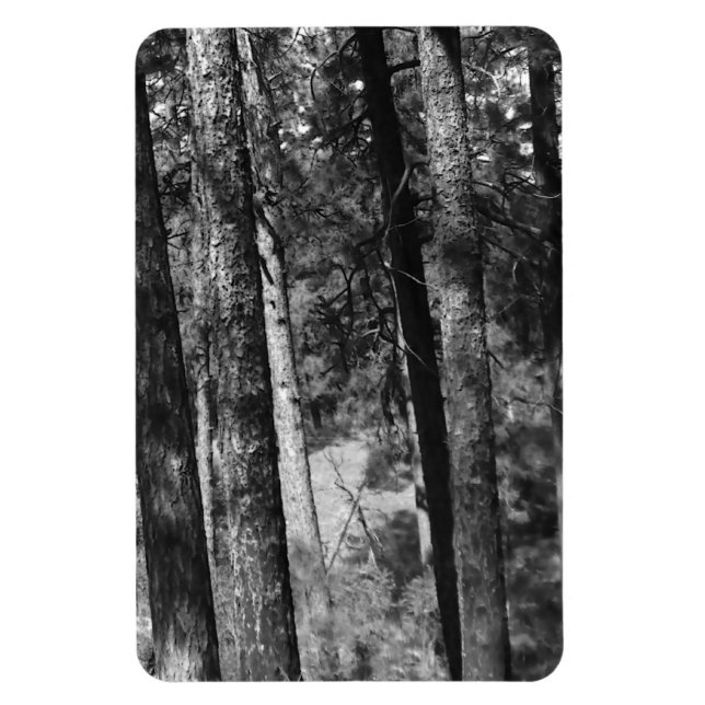 Imán árboles negros y blancos alrededor (Vertical)