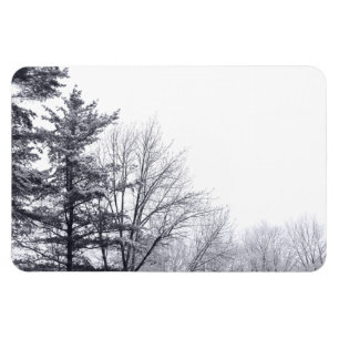 Imán Árboles recubiertos de nieve: horizontal