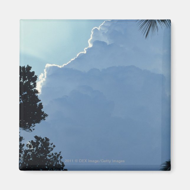 Imán Árboles y nubes (Frente)