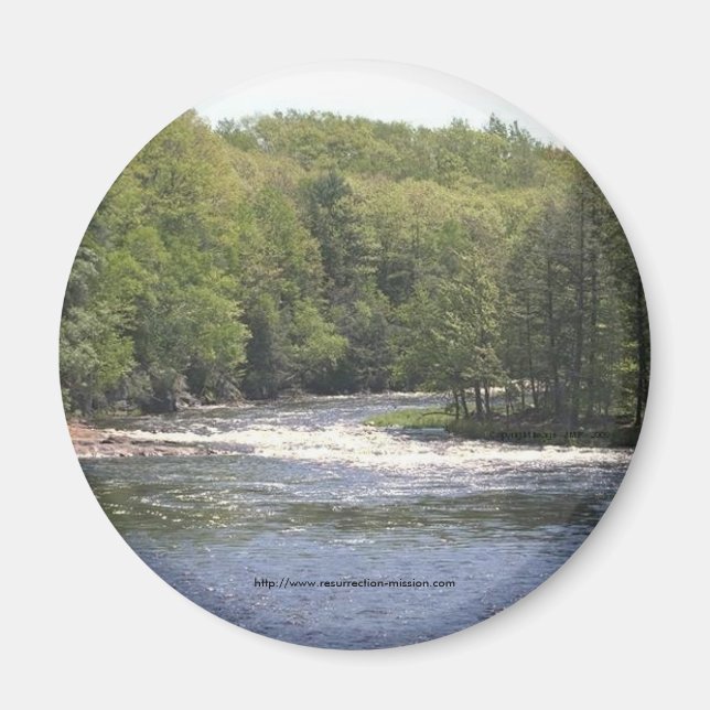 Imán Árboles y ríos de Nueva York imanes y altos (Frente)