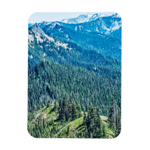 Imán Árboles y rocas