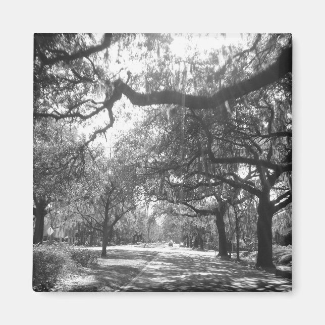 Imán arbor de la naturaleza (Frente)