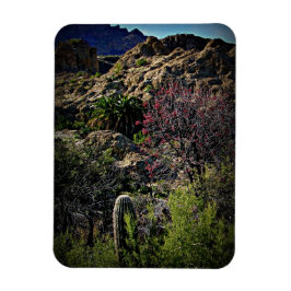 Imán Arboreto de Boyce Thompson