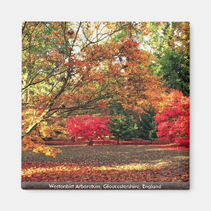 Imán Arboreto de Westonbirt, Gloucestershire,