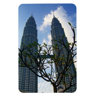 Imán arbusto de torres de petronas