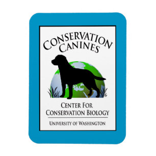 Imán Arco de Caninas de Conservación