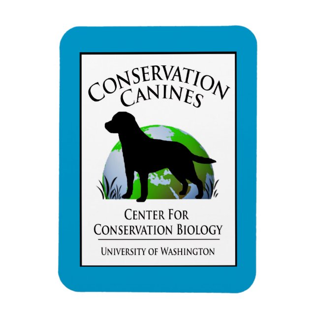 Imán Arco de Caninas de Conservación (Vertical)