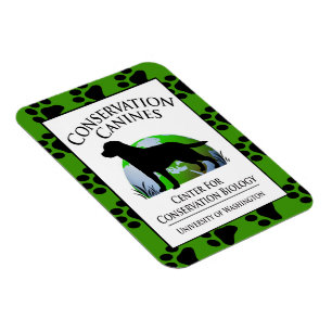 Imán Arco de Caninas de Conservación