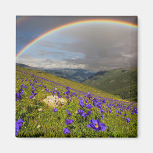 Imán Arco iris sobre un prado floreciente