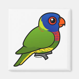 Imán Arcoiris Lorikeet