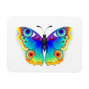 Imán Arcoiris mariposa Peacock Eye