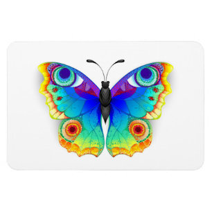 Imán Arcoiris mariposa Peacock Eye